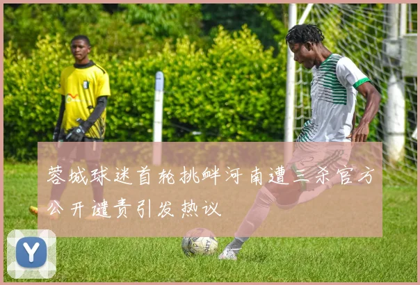 蓉城球迷首轮挑衅河南遭三杀官方公开谴责引发热议